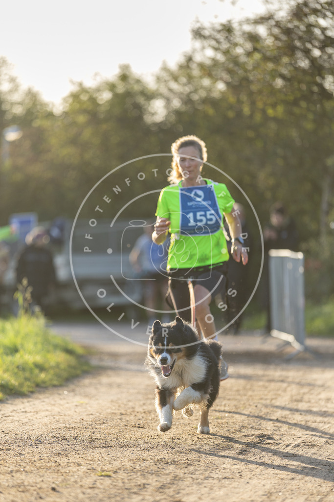 Pfotenfotografie.de_DV3A2632 | Hundefotografie, Tierfotograf, Pfotenfotografie, Fotoshooting Hund, Hunde Portrait, Hundesport, Hundeportraits, Heideshooting, Hunde, Sportfotograf, Hundefotograf, Turnierhundsport, THS, canicross - Realisiert mit Pictrs.com