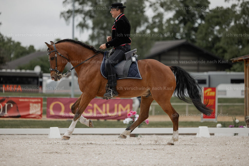 WE_DR_Stoib_339 _PI2025_101 | Pferd International München 2025