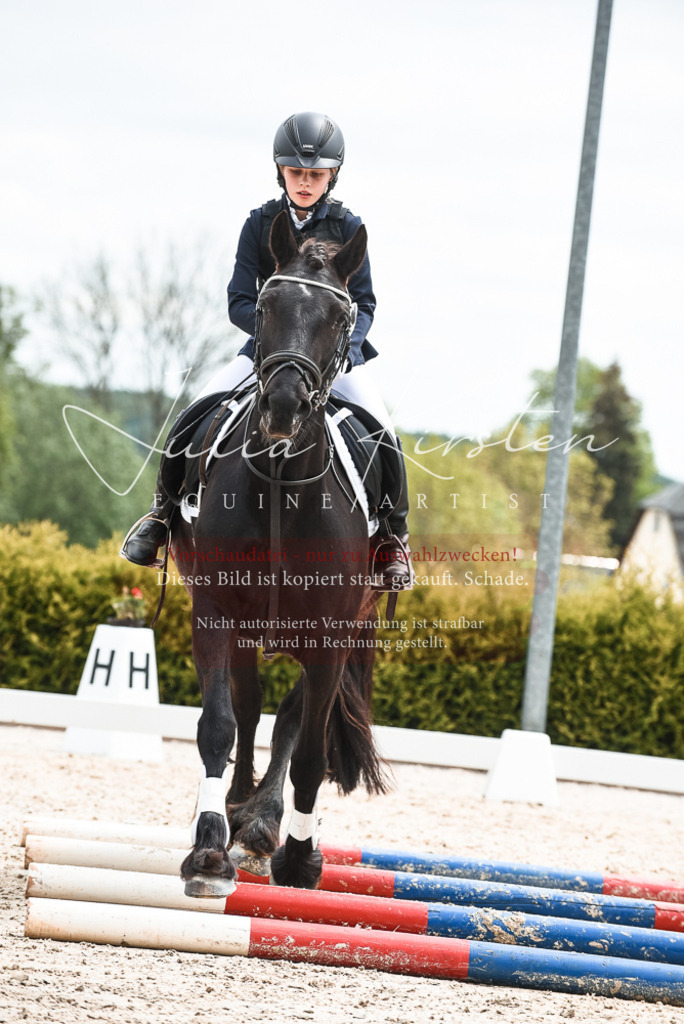 20230518_JK-Röhrsdorf-10-748 | Pferde- und Turnierfotografie in Westsachsen. Pferdeportraits, Auftragszeichnungen und intuitive Kunst.