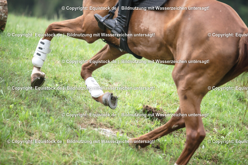 20250726_Vielseitigkeitslehrgang-Marbach_0262 | Foto: Thomas Hartig