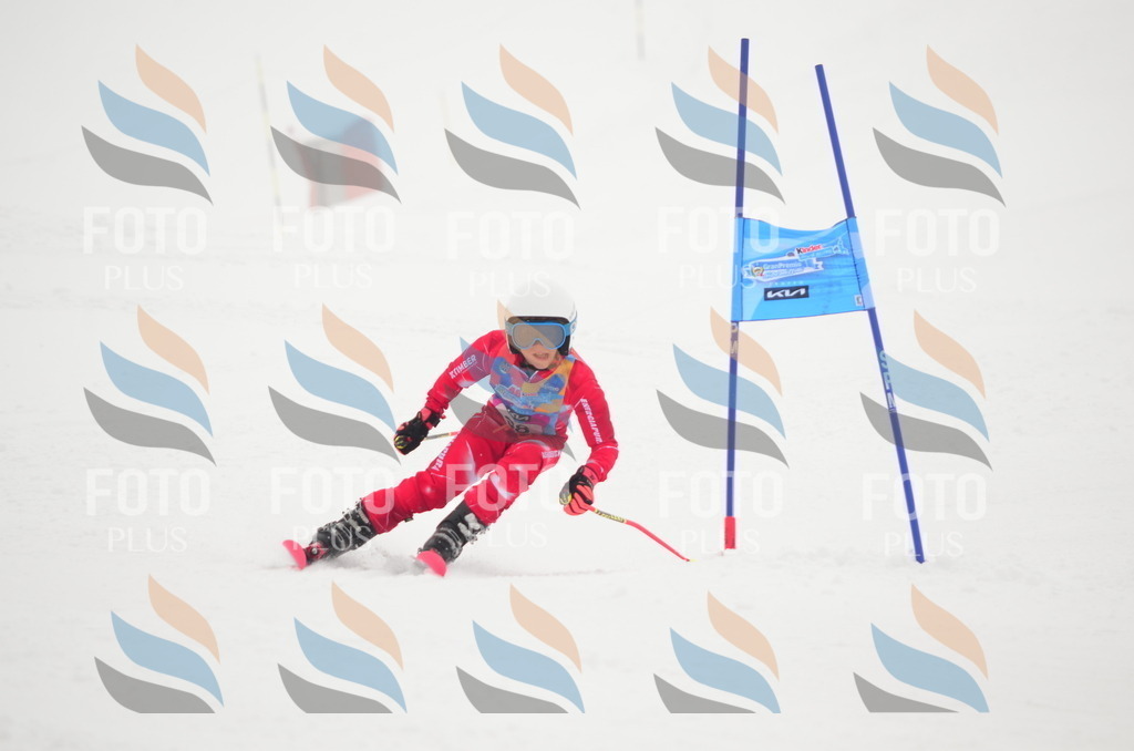 C1762 | holidayphoto