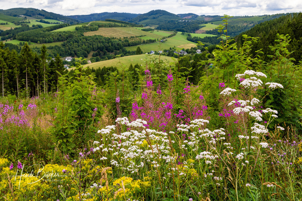 Westfeld und Umgebung 008 | Bilder und Impressionen zu jeder Jahreszeit aus dem Sauerland im Naturpark Sauerland-Rothaargebirge - Realisiert mit Pictrs.com