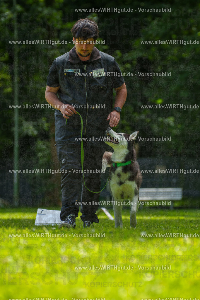 @allesWIRTHgut_Tierfotografie - www.allesWIRTHgut.de - 7R500924 | Professionelle Tierfotografie in Mönchengladbach von Daniel Wirth (allesWIRTHgut). Liebevolle & natürliche Bilder von Hunden & Katzen für unvergessliche Erinnerungen.