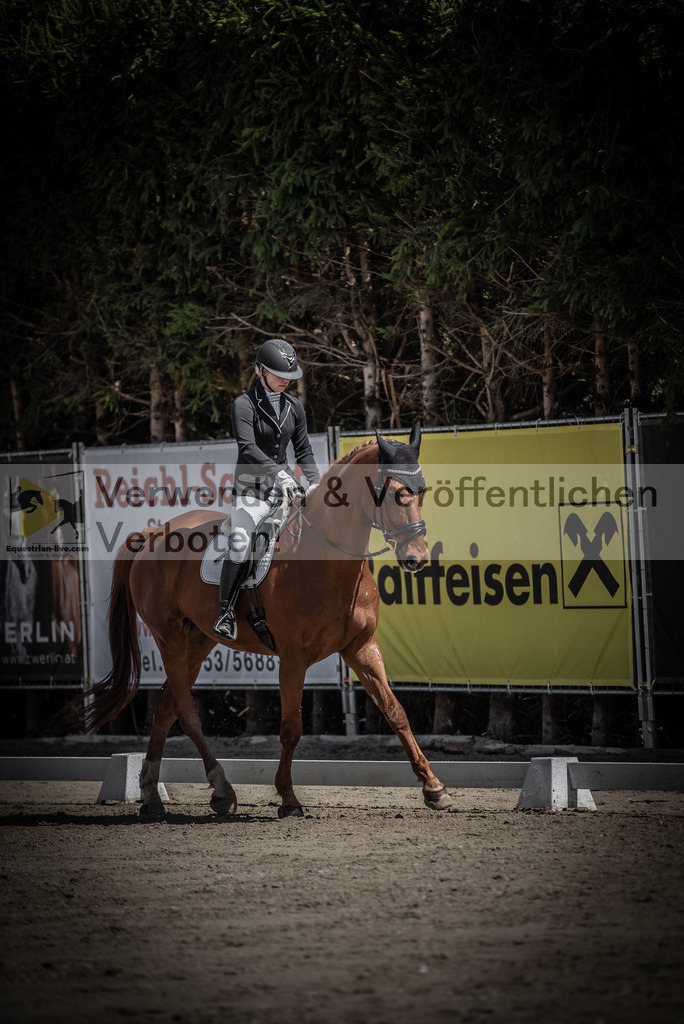 DSC_0736 | equestrian-live-com
