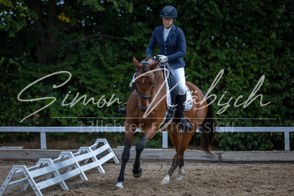 20260905-_3LI8094 | Tierfotografie Pferde, Hunde, Katzen, Haustiere.
Turnierfotografie Reitturniere, Reiten, Springreiten, Dressur in Hanau, dem Main-Kinzig-Kreis und dem Rhein-Main- Gebiet um Frankfurt