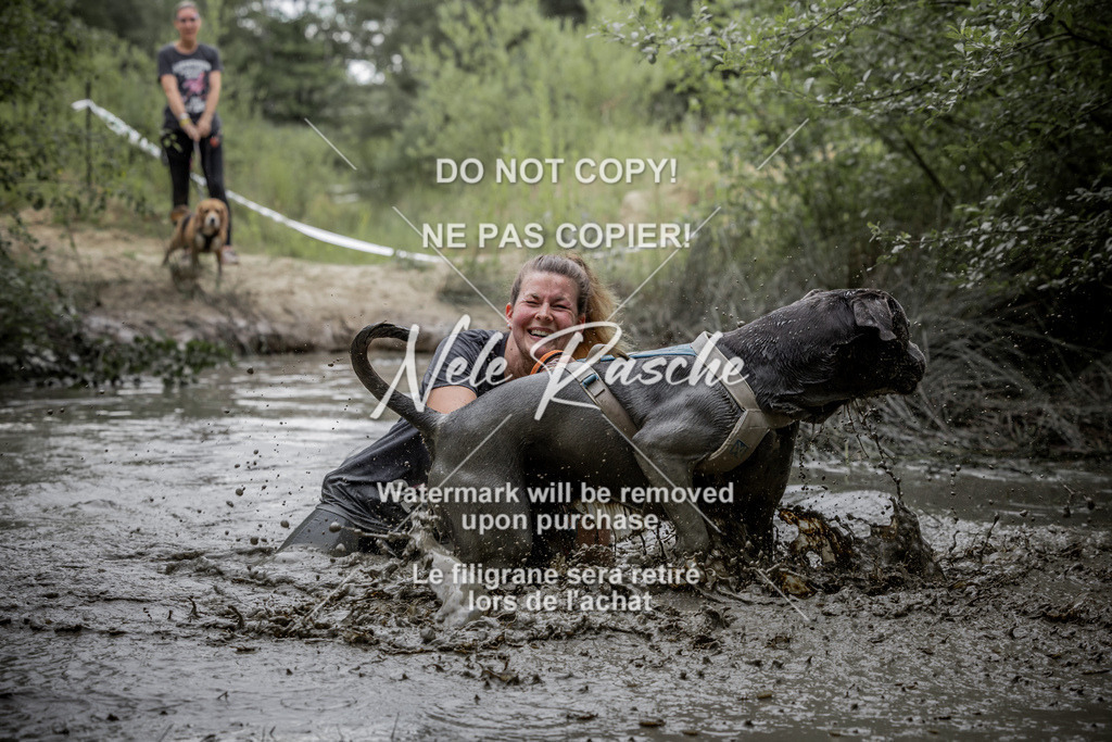 nelerasche_so1445-1515_424 | nelerasche
