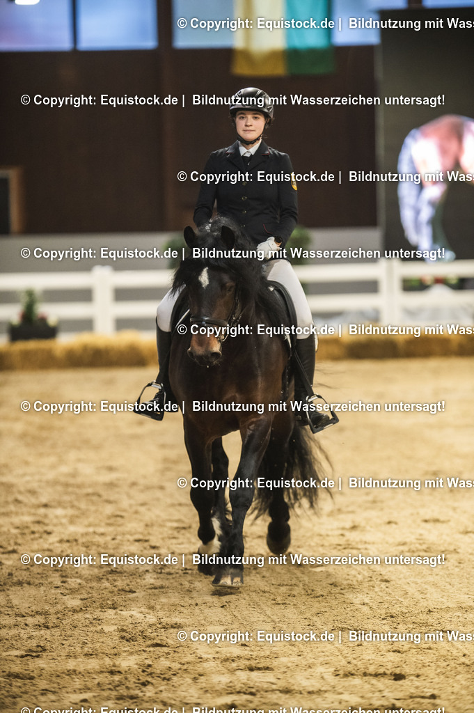 20240302_Hengstvorstellung_Marbach_TOMsPiC_0274 | equistock