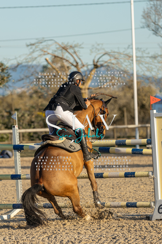 IMG_2776 | s-jay-photography - Realisiert mit Pictrs.com