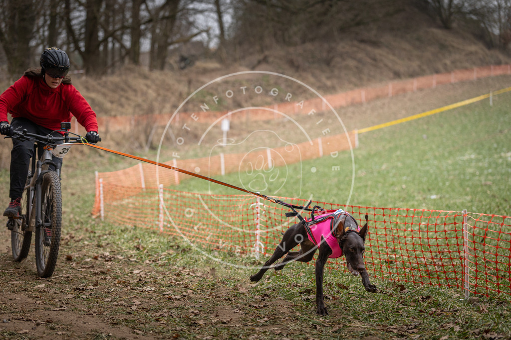 Pfotenfotografie_DV3A5138 | Hundefotografie, Tierfotograf, Pfotenfotografie, Fotoshooting Hund, Hunde Portrait, Hundesport, Hundeportraits, Heideshooting, Hunde, Sportfotograf, Hundefotograf, Turnierhundsport, THS,  - Realisiert mit Pictrs.com
