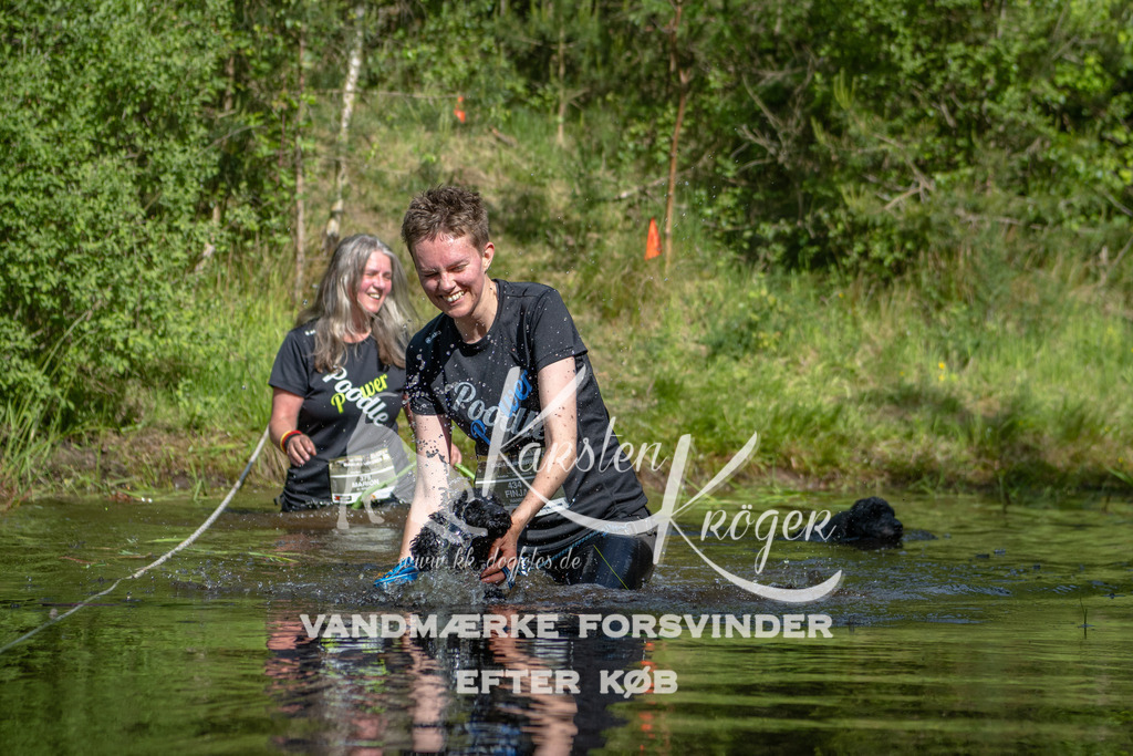 0950DKK9_ZZ93427 | kk-dogfotos