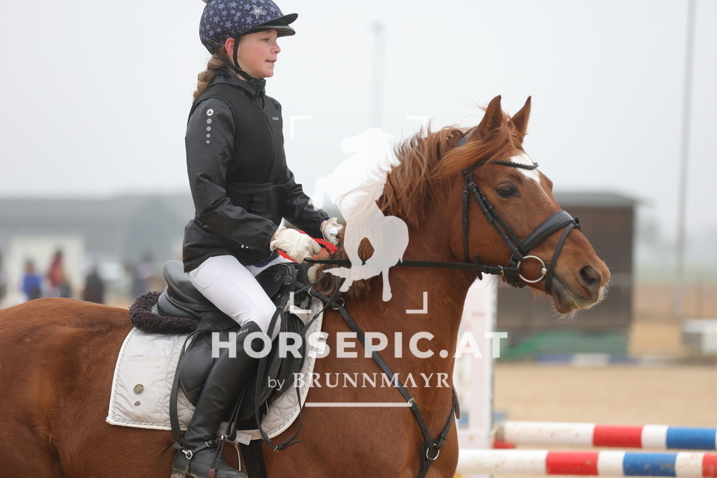 0P6A8218 | Willkommen bei Brunnmayr - Design & Fotografie – Ihrem Spezialisten für Reitturniere und Pferdeveranstaltungen in Oberösterreich, Salzburg und Bayern! Seit über 17 Jahren sind wir leidenschaftlich dabei.