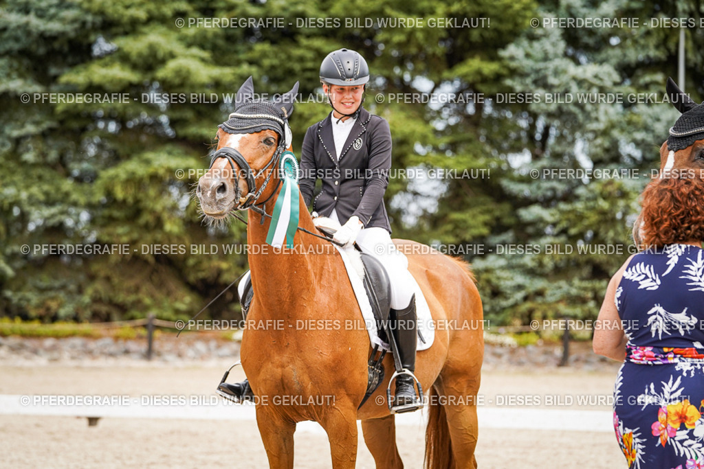 DSC04583 | Pferdegrafie