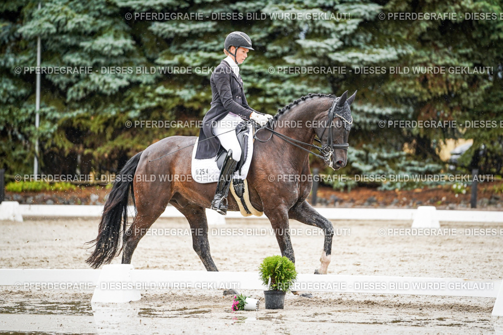 DSC08745 | Pferdegrafie