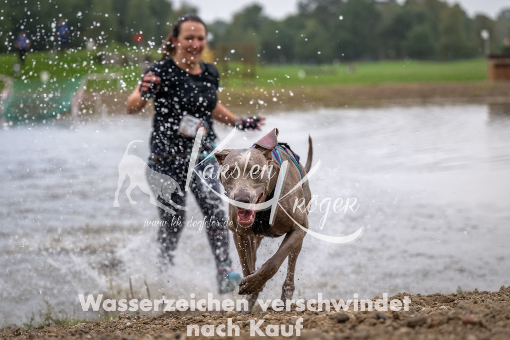 0824_ZZ91244 | kk-dogfotos
