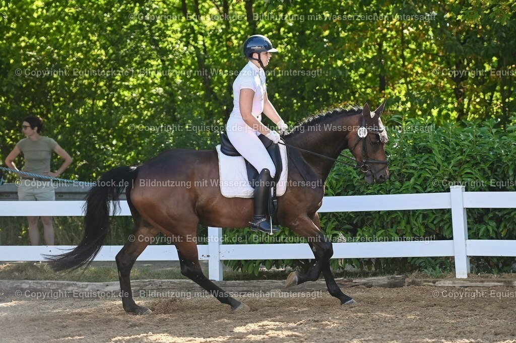 20230715_06_Dressurpferdeprfg. Kl.A_0279 | equistock