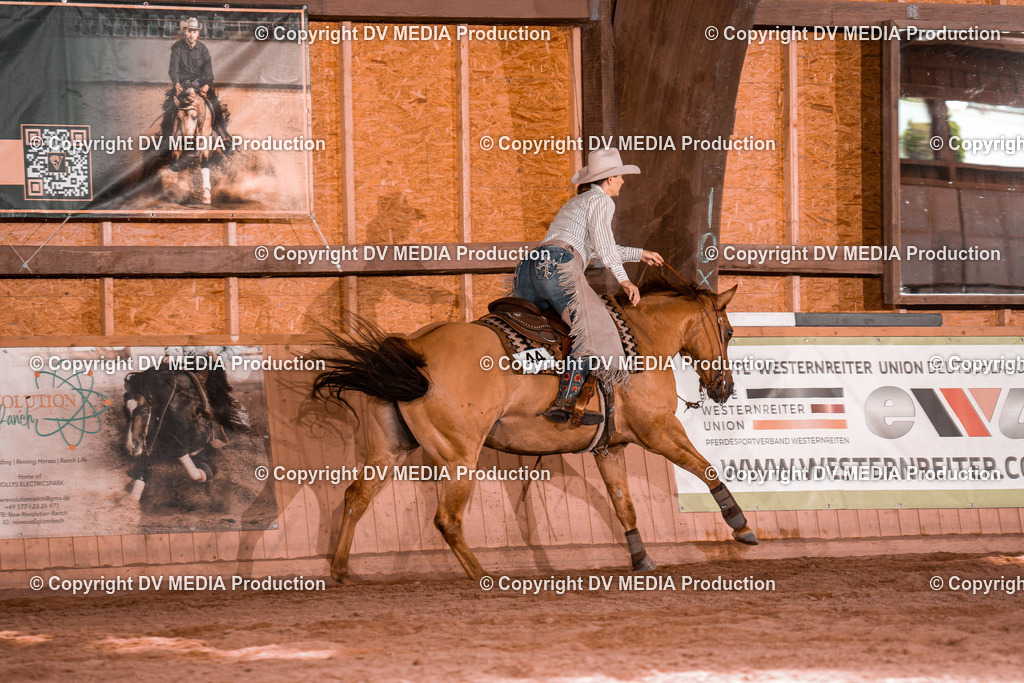 NE100773 | dv-media-shop - Realisiert mit Pictrs.com