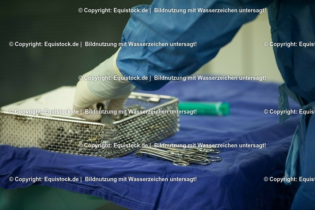 20160315_Arthroskopie_0016 | equistock