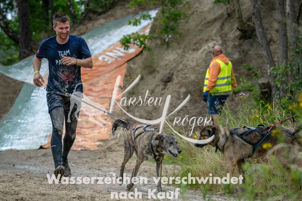 1240_ZZ94030-Bearbeitet | kk-dogfotos