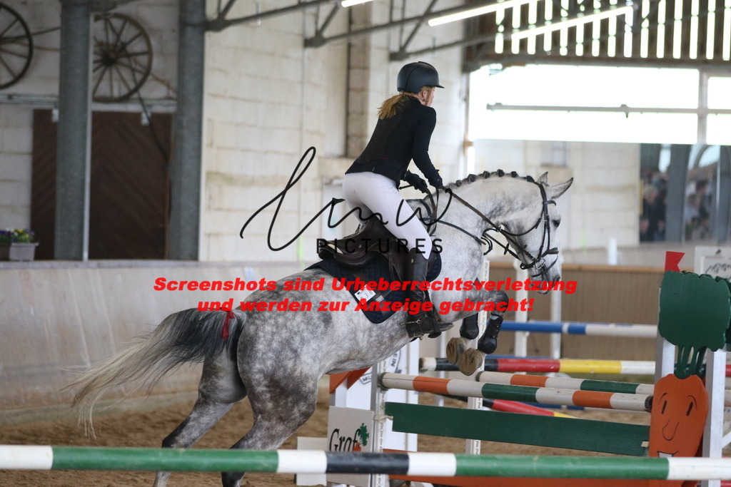 IMG_5856 | lmwpictures - Realisiert mit Pictrs.com