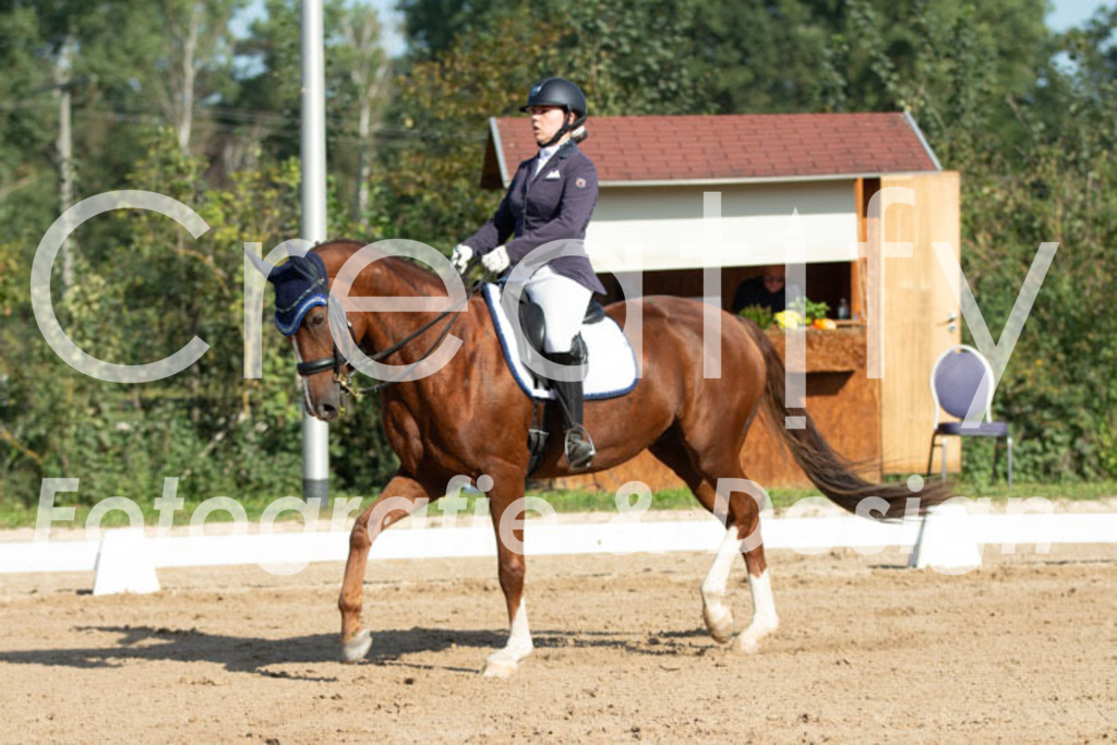 IMG_0556 | Creatify Fotografie