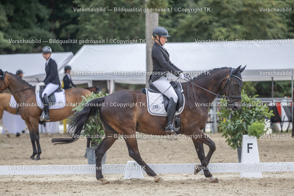 _D5A2623 | Emotionale Pferde- & People-Fotografie rund um Heidelberg, Leimen & Umgebung. Natürliche Fotos von Pferd, Mensch & Familie. Jetzt Termin sichern!