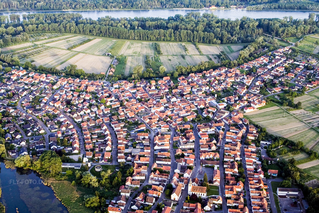 Luftbild: Fluß- Uferbereichen des Rhein in Neuburg am Rhein im Bundesland Rheinland-Pfalz in Deutschland. Foto: IMG_2628.jpg vom 09.06.2006 durch Werner Riehm/FLY-FOTO.de