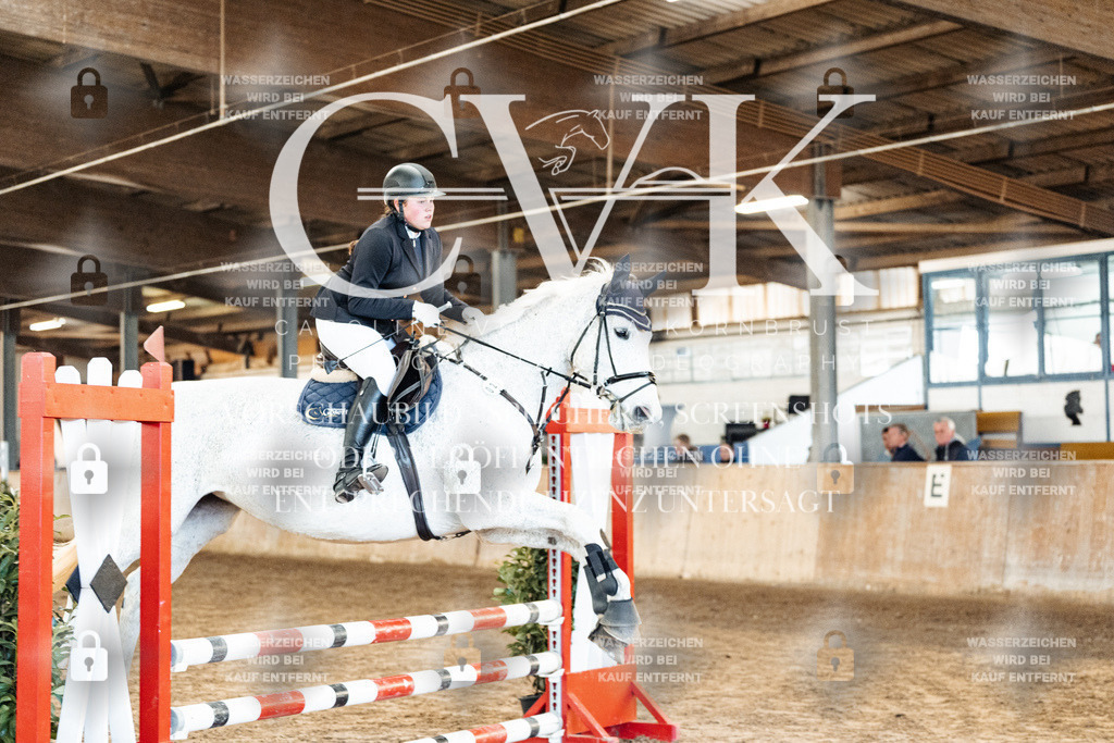 CK903964 | Turnierfotografie Pferdefotografie Trier Rheinland-Pfalz Pferdesport Reitsport Tierfotografie Sportfotografie Pferdevideo Pferdevideografie Equestrianvideography equestrianphotography  - Realisiert mit Pictrs.com