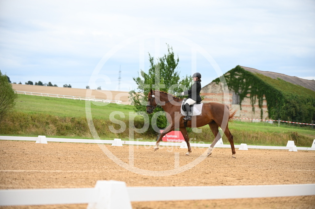 DSC_4456 | sattelsport - Realisiert mit Pictrs.com