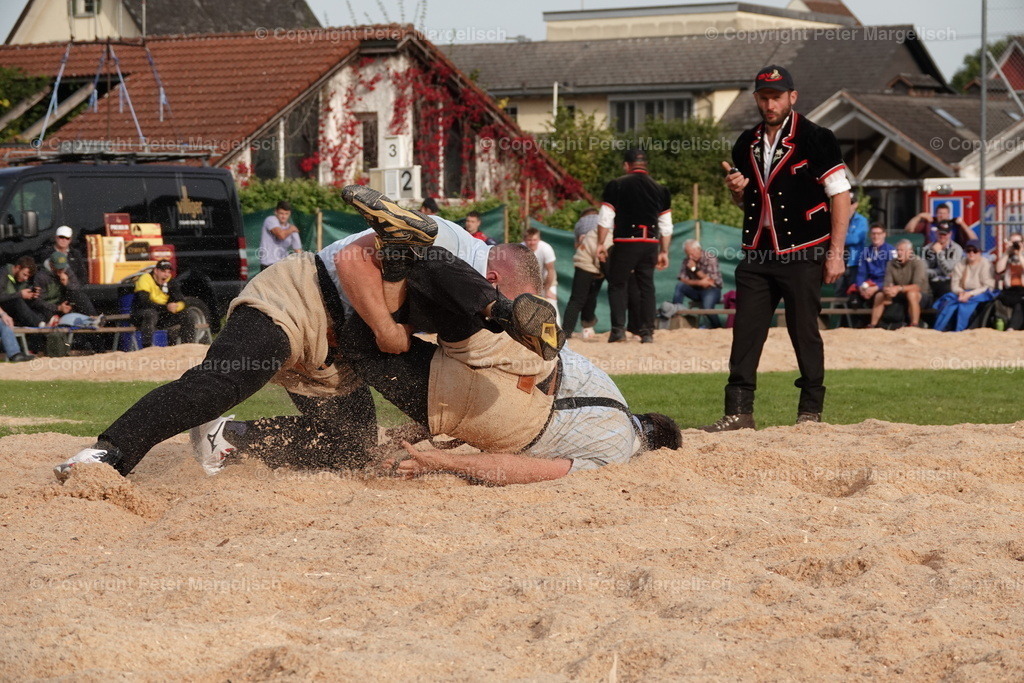 DSC08436 | Schwingen - Realisiert mit Pictrs.com
