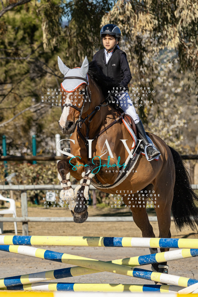 IMG_8100 | s-jay-photography - Realisiert mit Pictrs.com