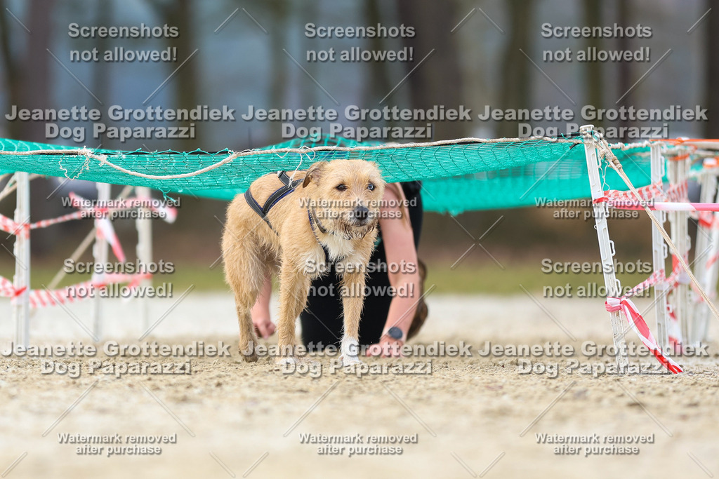 Dog Paparazzi - Strongdog North Mrz26-4096 | Dog Paparazzi Jeanette Grottendiek Fotografie & Videografie - Realisiert mit Pictrs.com