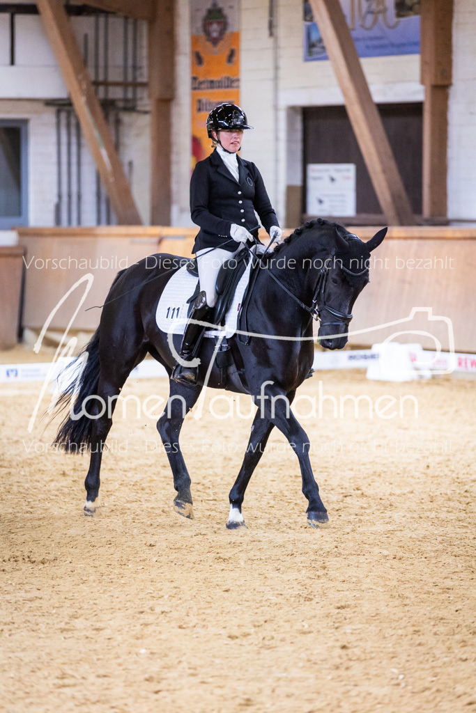 Sth-A-Dre-2St-150 | MomenTaufnahmen Pferdesportfotos