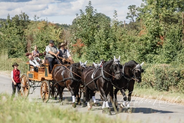 7V6A1167 | natalia-nirschl-photography