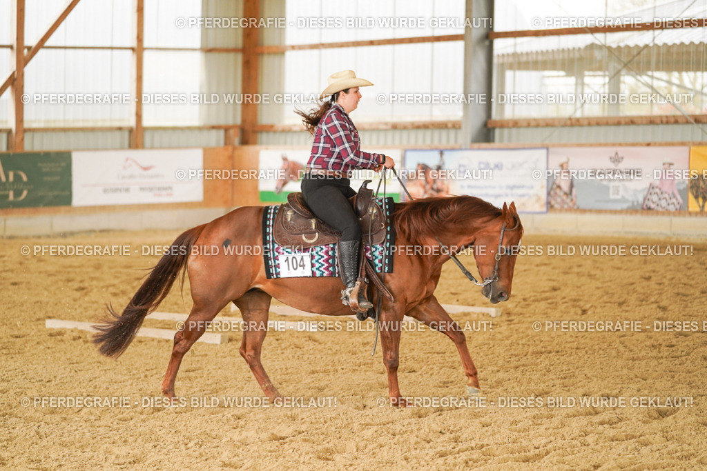 DSC03976 | Pferdegrafie