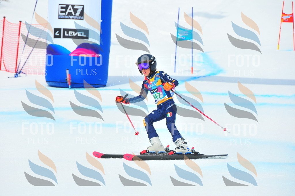 DSC_2289 | holidayphoto