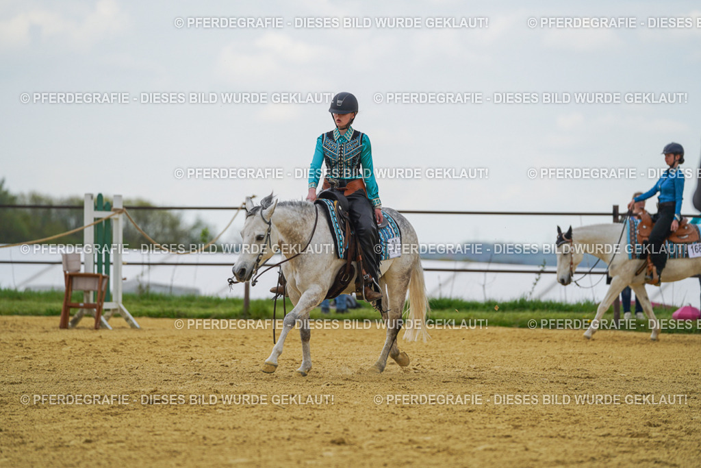 DSC06509 | Pferdegrafie