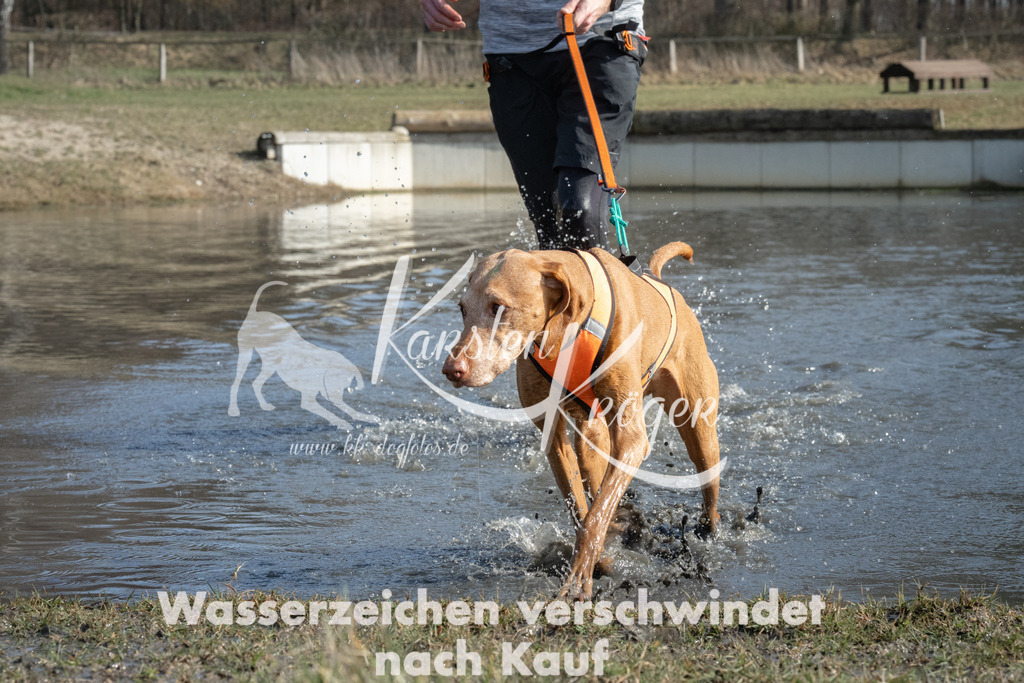 1333_ZZ97221 | kk-dogfotos