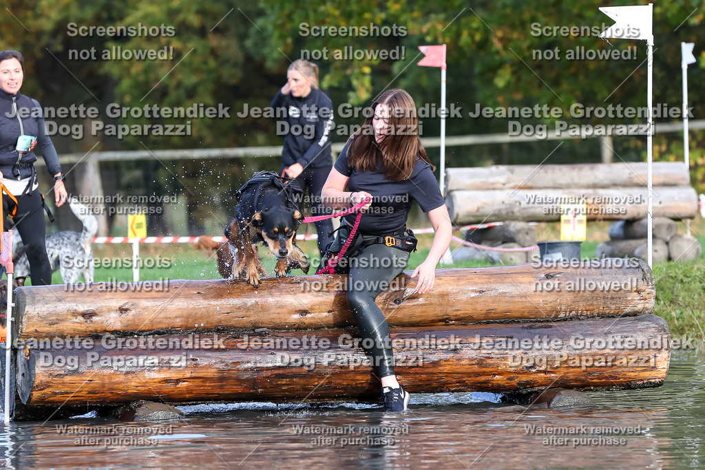 Dog Paparazzi - Strongdog 10-25-8243 | Dog Paparazzi Jeanette Grottendiek Fotografie & Videografie - Realisiert mit Pictrs.com