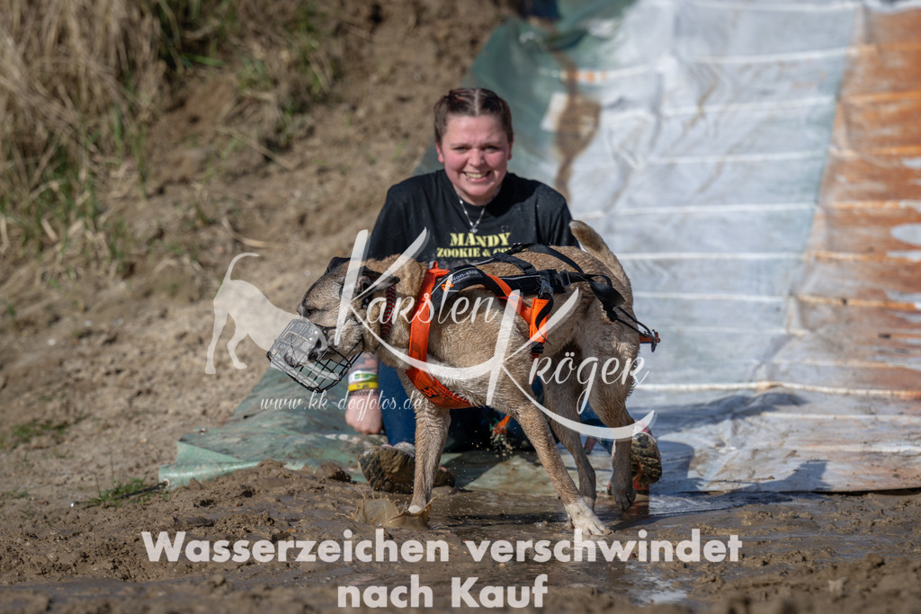 0920_ZZ91625 | kk-dogfotos