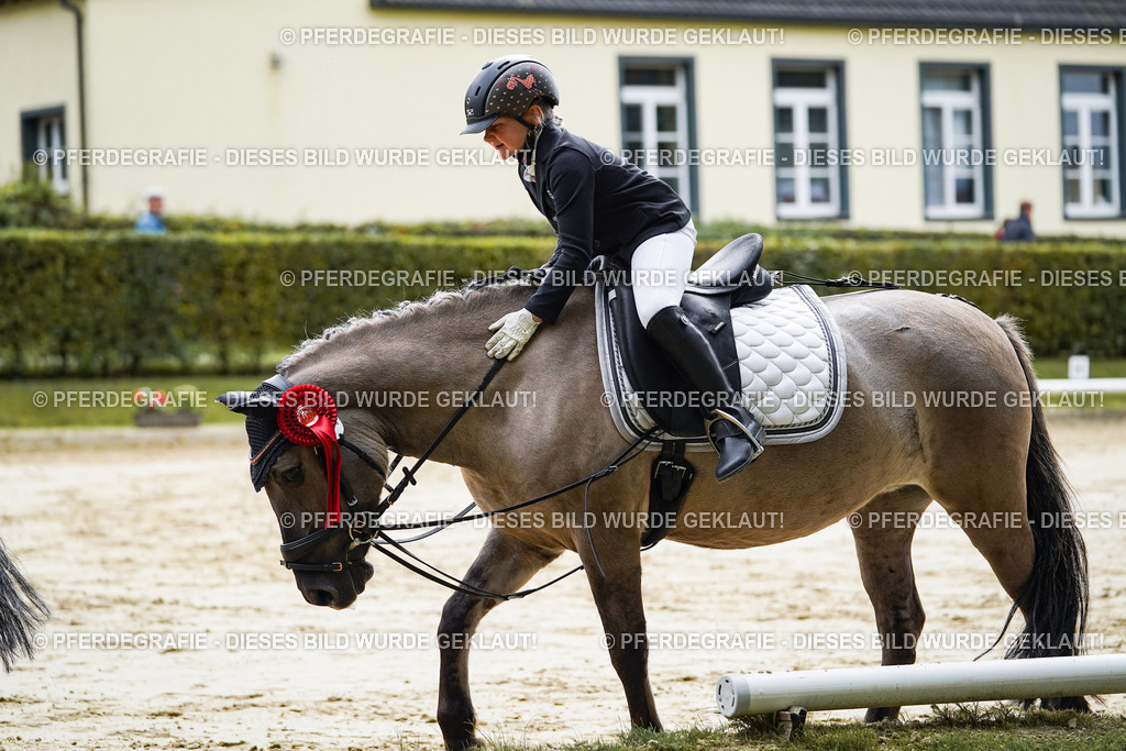 DSC05829 | Pferdegrafie