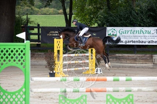 2B4A1564 | pixelfaenger - Realisiert mit Pictrs.com