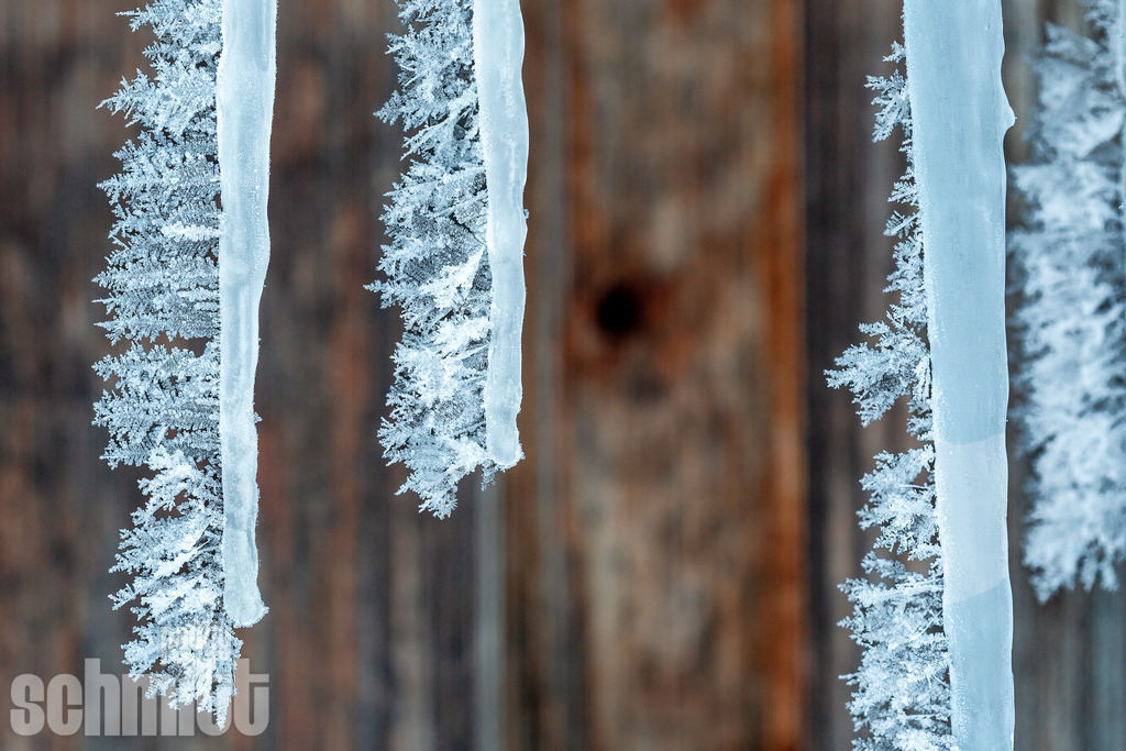 PS-Winter-2026-2 | Entdecke die größte Bildgalerie der Region mit Fotografien aus dem Allgäu, der Bodenseeregion, Oberschwaben, dem Donautal und der Schwäbischen Alb. Landschaften, Luftaufnahmen und Reisefotografie als Wandbild und Fotokunst. - Realisiert mit Pictrs.com