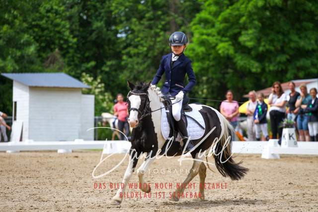 DKP46297 | Turnierfotos kaufen im Webshop von Daniel Kuhl Photography – entdecke professionelle Reitsportfotos aus Turnieren & Events. Hochwertige Turnierbilder online bestellen & sichern. Jetzt Fotos von Reitsportturnieren kaufen!