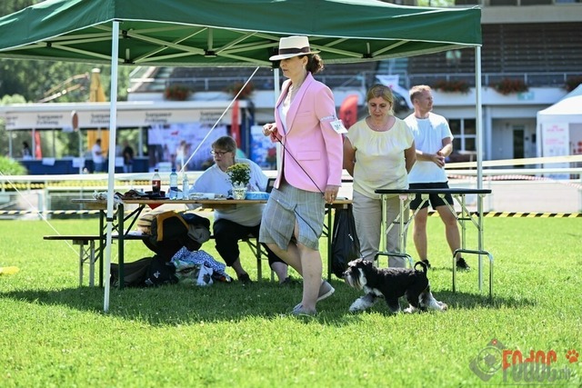 Dogshow CACIB Samstag in Aarau | Dogshow CACIB Samstag in Aarau. 24.06.2023 Foto: LeoWyden