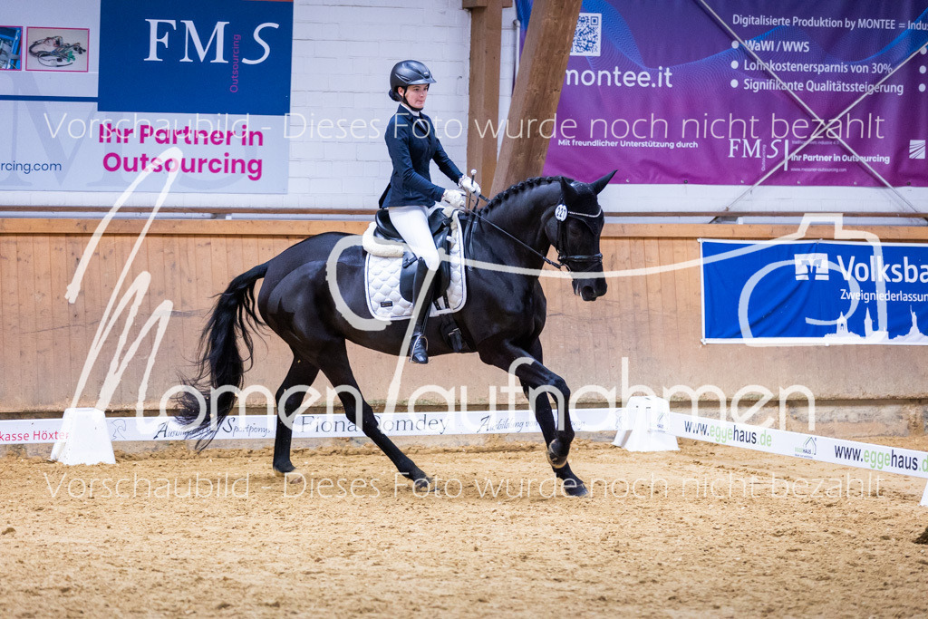 Sth-A-Dre-2St-120 | MomenTaufnahmen Pferdesportfotos