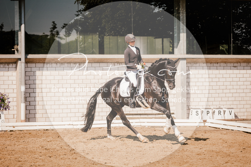 3I6A9213 | Stimmungsvolle Portraits und Reitsportfotografie im Ruhrgebiet und im Münsterland.

Pferdefotografie, Hundefotografie, Tierfotografie, Reportagen, Portraits von Tier und Mensch, Turnierfotografie in Bochum, Recklinghausen, Marl, Haltern am See, Dülmen.. - Realisiert mit Pictrs.com