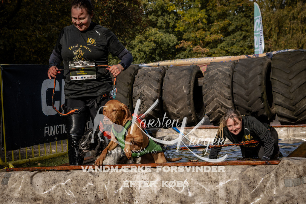 1400_ZZ93665 | kk-dogfotos