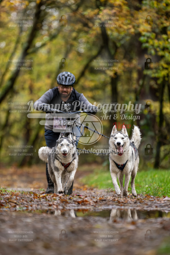 MompixPhotography_Bischwiller23_DS2-25 | PayLife