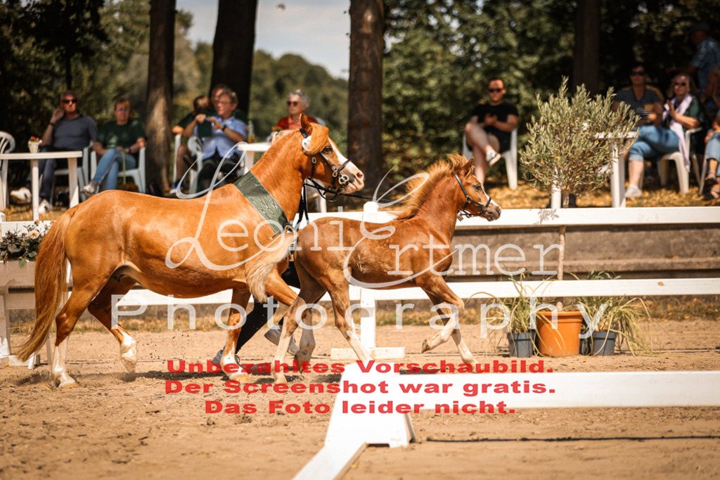 04.DoWP00112 | Leoni Ertmer Photography - Realisiert mit Pictrs.com