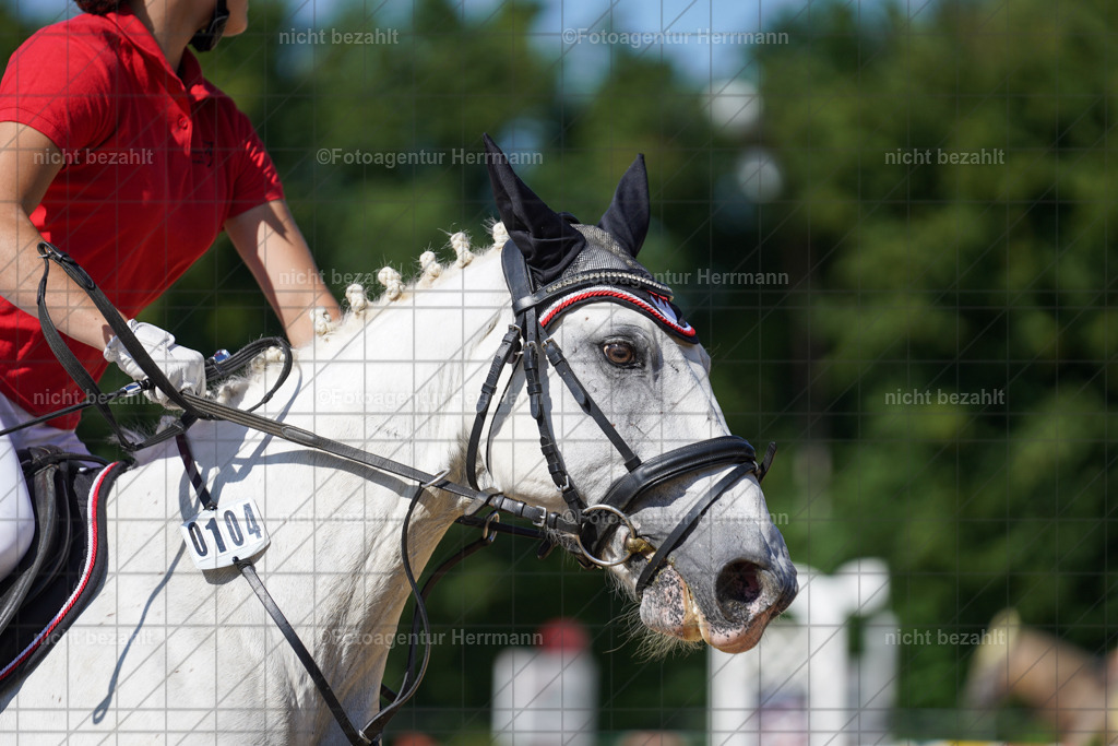 20240824-FAH08393 | Thierhaupten 2024, Bayerisches Landesponyturnier, Turnierbilder, Ponybilder, Turnierfotografen Bayern, Fotoagentur Herrmann